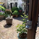 Jan's