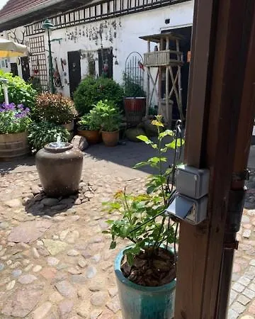 Jan's
