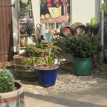Jan's 아파트 바트 도베란
